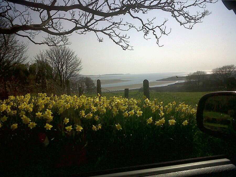 Cilymaenllwyd Care Home, Carmarthenshire, Carmarthenshire, SA15 4RB