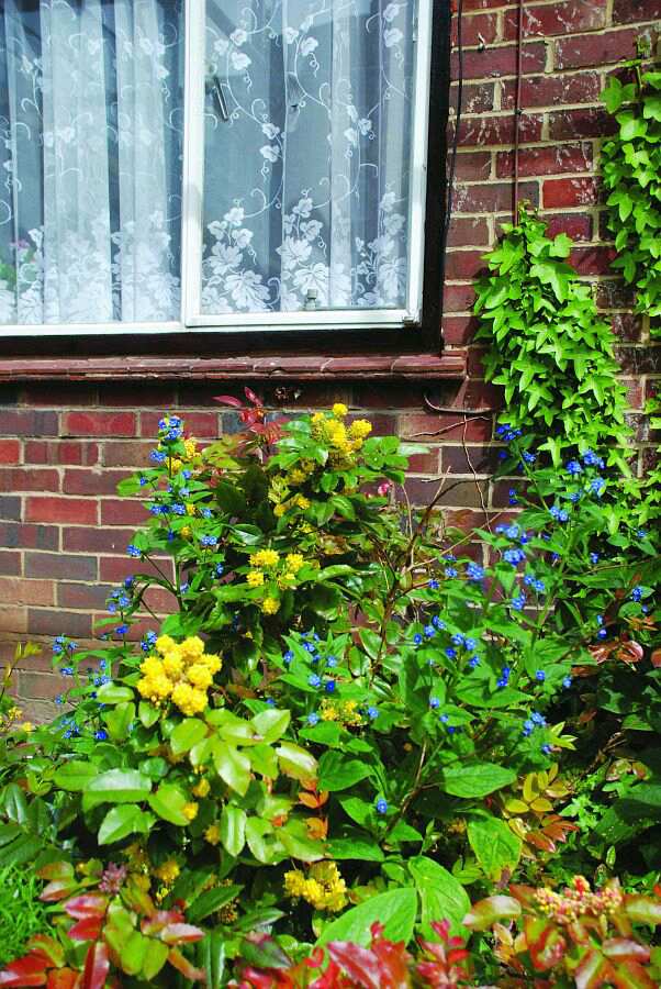 Kirton Lodge, Wandsworth, Greater London, SW18 2AG Sheltered housing